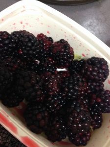 理由はこれ。（2号母上より差し入れ）