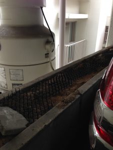 この隙間に大量の・・・