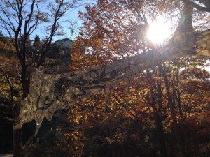 マスキングテープで作成されてる