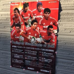 ラグビーが熱い