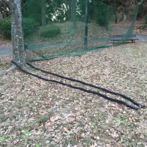公園でロープトレーニング