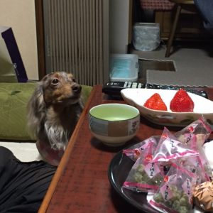 イチゴが食べたい。