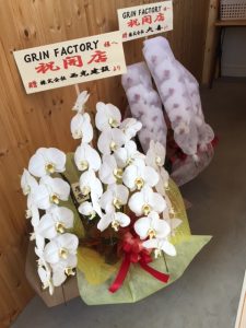 友人の会社から豪華な胡蝶蘭