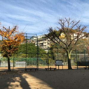 公園で犬を見ながら日経