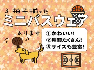 ミニバスウェア